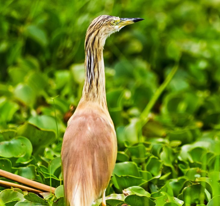 things to do for destination